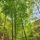 우즈베이커리 대곡점 이미지