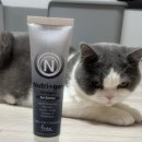 고양이 강아지 오메가3 [뉴트리젠] 영양제 한달 사용 후기