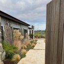 스테이 안도감 제주 이미지