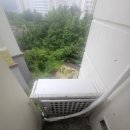 비둘기2길 이미지