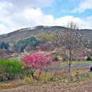 보련마을 이미지