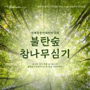 참나무
