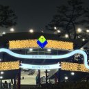 김밥킹청강대점