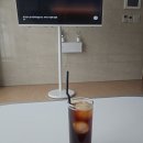 달성군청로 | 지극히 평범한 나의 일상 공유 25년 3월 마지막 주의 주말 토요일을 맞이하고 보내며