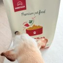 멍이로움 이미지