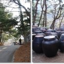 성당천 Daum카페