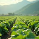 스마트팜 이미지