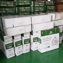 데니스테크 이미지