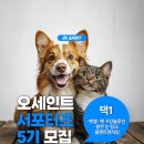 플랜트 & 애니멀 | [공지] 오세인트 서포터즈 5기 모집해요~