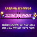 웰스공인중개사사무소 이미지