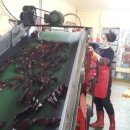 우리고추방앗간 이미지