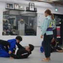 타이거 주짓수 이미지