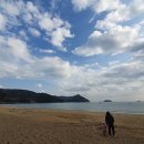 발포해수욕장 티스토리