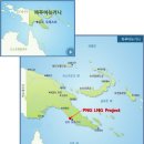 뉴플랜트 머니투데이