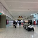 2020-주155 | 호주 국내선 콴타스 항공 후기 + 골드코스트 공항 (시드니 &gt; 골드코스트)