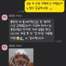 드래곤 파라다이스 짐 이미지