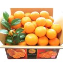 나영농장 이미지