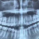 롯데센텀약국 이미지