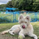 승에너지 이미지