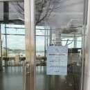 모던켄넬 | 부산 강서구 반려견동반가능 낙동강 리버뷰 대형카페 '보다'후기