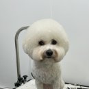 도루몽실 이미지