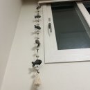23년 1월 마지막주 &amp; 2월 첫째주,