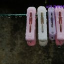 대한렌트카 이미지