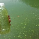 사등마을 이미지