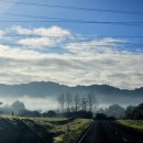 6월 29일 - Wairoa Loop Track and Suspension Bridge Track 이미지