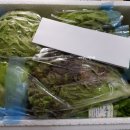 성창농장 이미지