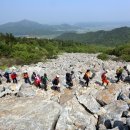 달마고도 이미지