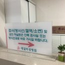 금강병원(1057) | 해운대 제일여성병원 태동검사 / 만삭임산부 막달검사 / 출산준비