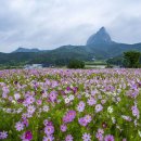 진안군 농업기술센터 이미지