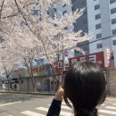 진한우포크 이미지