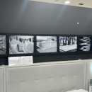 금성할인마트 | 🛏 혼수 침대 어디서 사지? 서울가구단지 안 부럽던 신도림 금성침대 후기