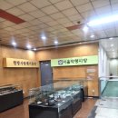 서울한방진흥센터(3층 다목적강당) | [방문후기] 서울약령시한의학박물관 체험후기(feat. 가성비 데이트, 만원의 행복, 케데헌 명소)