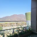 한강아쿠아 | 스타필드 아쿠아필드 하남 후기 | 예매 방법, 매점, 식당 메뉴