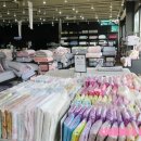 레노마홈코지네스트일산점