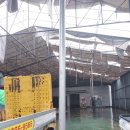 1공단로6길-2 이미지