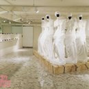 젠틀비너스