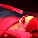 뷰라인의원 이미지