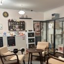 명품고양이카페 이미지