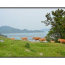 모후농장 이미지