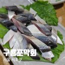 구룡포막회 | 교대역 맛집 추천, 계절별미 제철해산물 구룡포막회 가을 전어회 대하구이 강추 후기