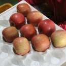 부광 농장 이미지