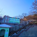 도그다움 이미지