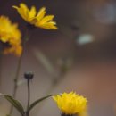 창가의 풍경 이미지