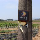 서해랑길 4코스 이미지