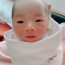 산골초가펜션 이미지