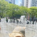 양정소명어린이집 이미지